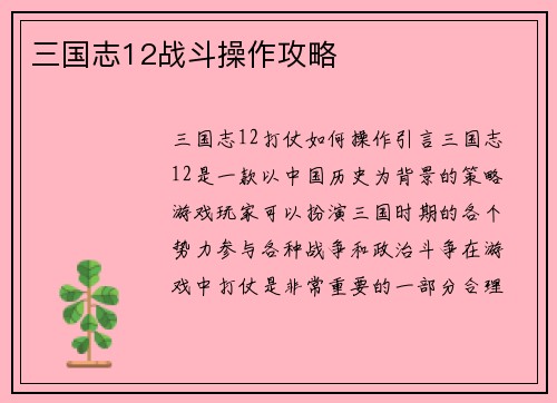三国志12战斗操作攻略