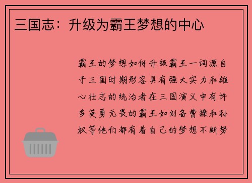 三国志：升级为霸王梦想的中心